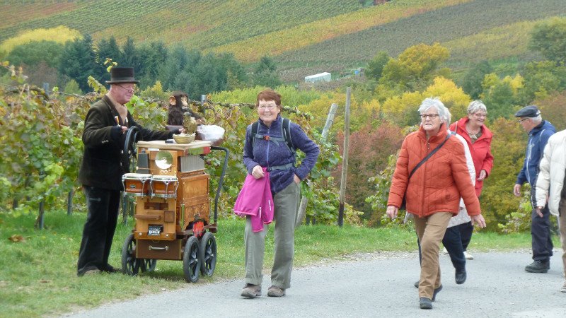 Rotweinwanderung 24.10.2015